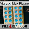 Vigra Xl Max Platinum new08